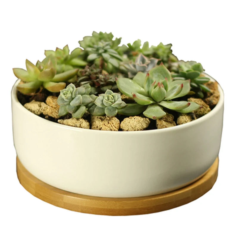 White Porcelain Succulent Planter with Bamboo Tray Deep Rounded Bonsai Pot