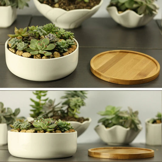 White Porcelain Succulent Planter with Bamboo Tray Deep Rounded Bonsai Pot