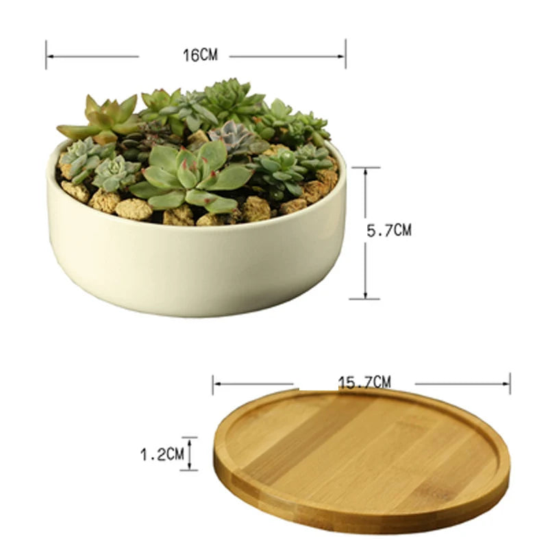 White Porcelain Succulent Planter with Bamboo Tray Deep Rounded Bonsai Pot