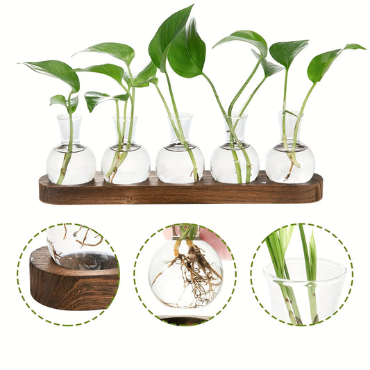 Glass Plant Terrarium Wooden Tray Hydroponic Vase Indoor Propagation Home Decor