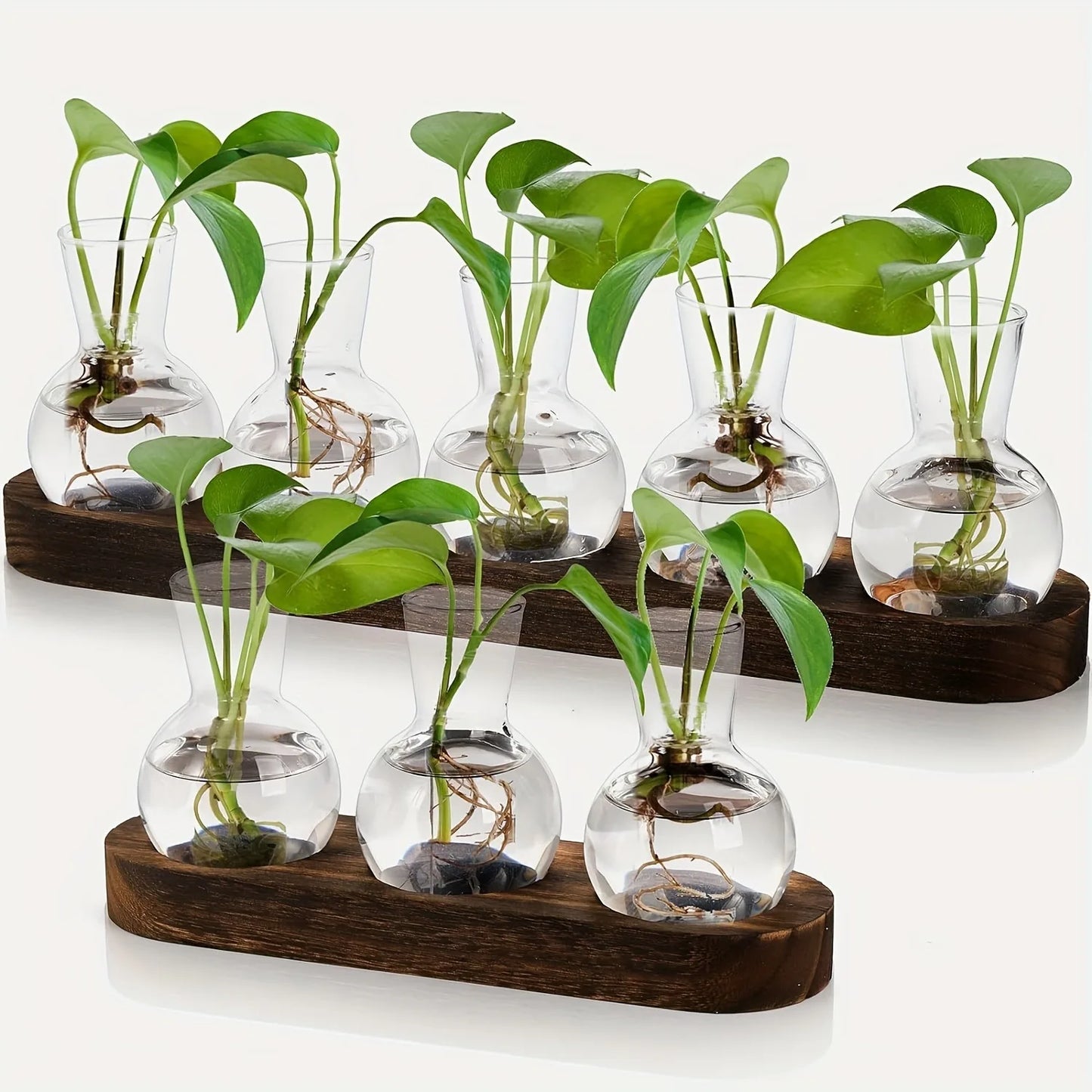 Glass Plant Terrarium Wooden Tray Hydroponic Vase Indoor Propagation Home Decor