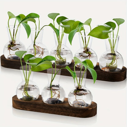 Glass Plant Terrarium Wooden Tray Hydroponic Vase Indoor Propagation Home Decor