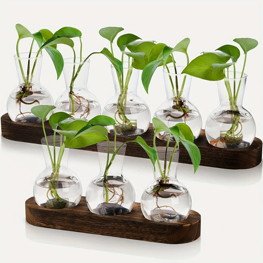 Glass Plant Terrarium Wooden Tray Hydroponic Vase Indoor Propagation Home Decor