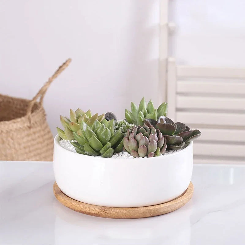 Round White Ceramic Succulent Planter with Bamboo Tray Modern Home Decor