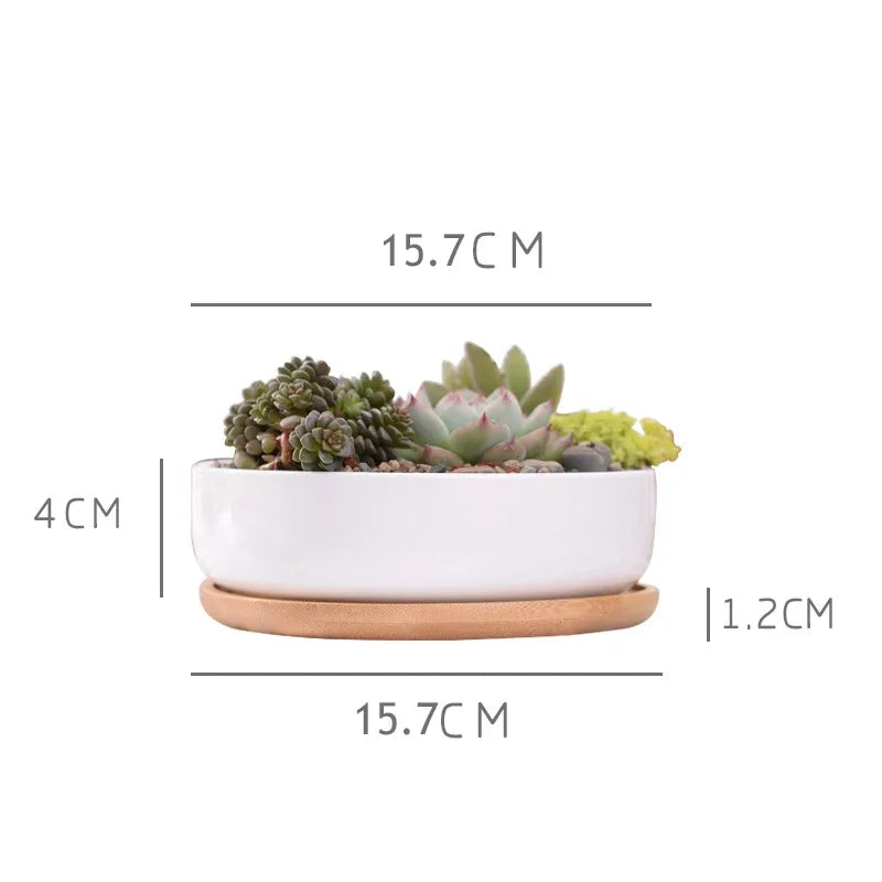 Round White Ceramic Succulent Planter with Bamboo Tray Modern Home Decor