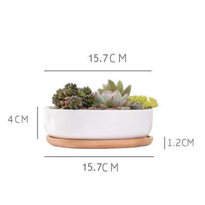 Round White Ceramic Succulent Planter with Bamboo Tray Modern Home Decor