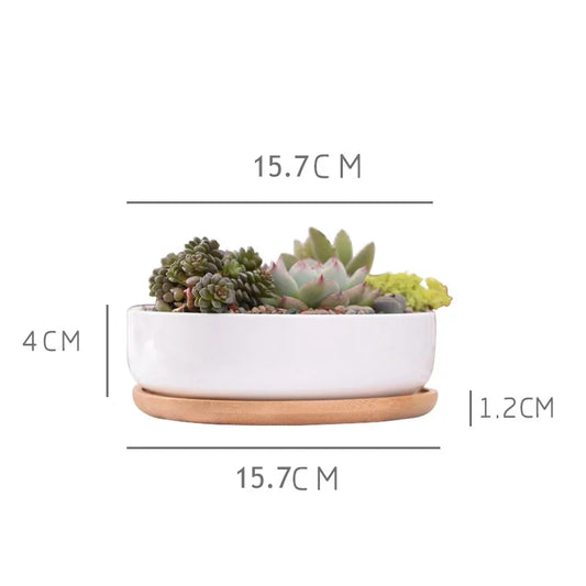 Round White Ceramic Succulent Planter with Bamboo Tray Modern Home Decor
