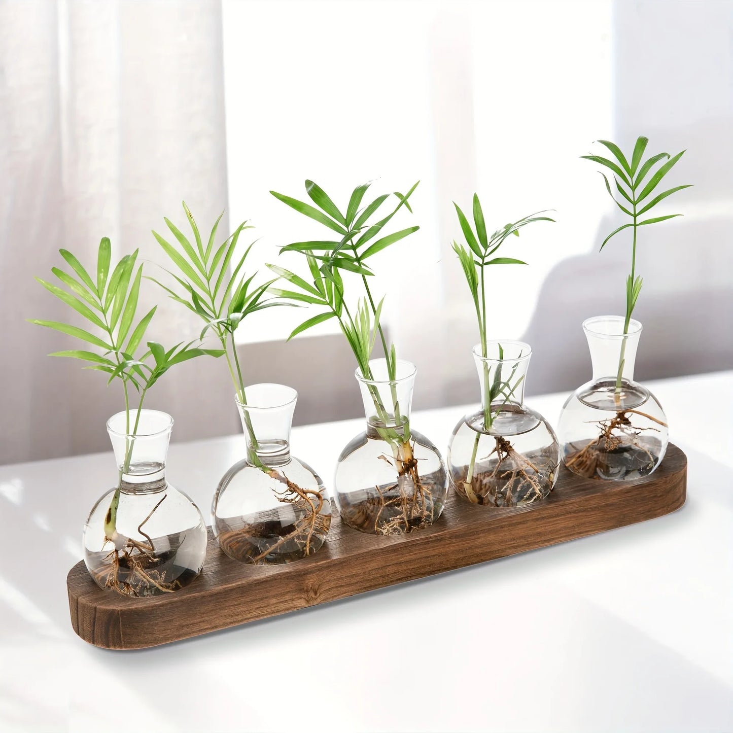 Glass Plant Terrarium Wooden Tray Hydroponic Vase Indoor Propagation Home Decor