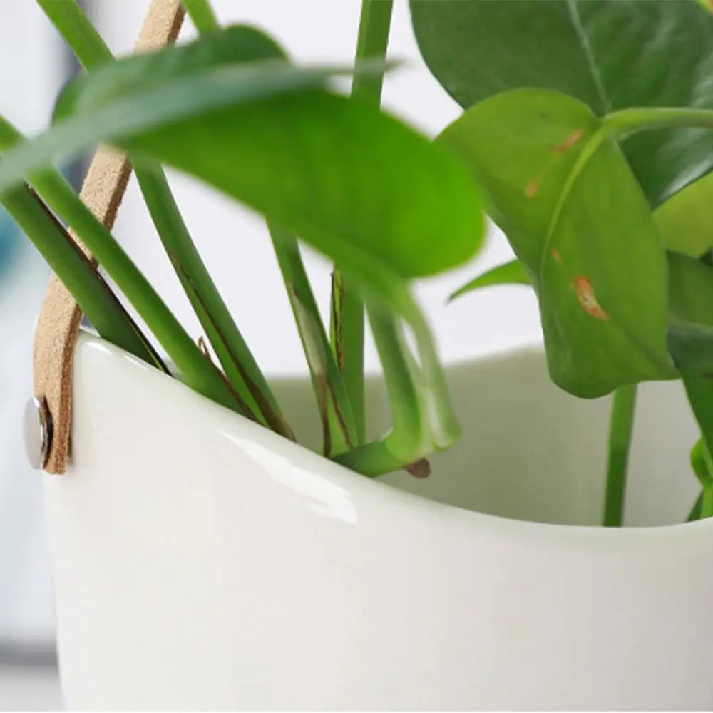 Ceramic Hanging Wall Planter Succulent Plant Pot Boho Home Decor