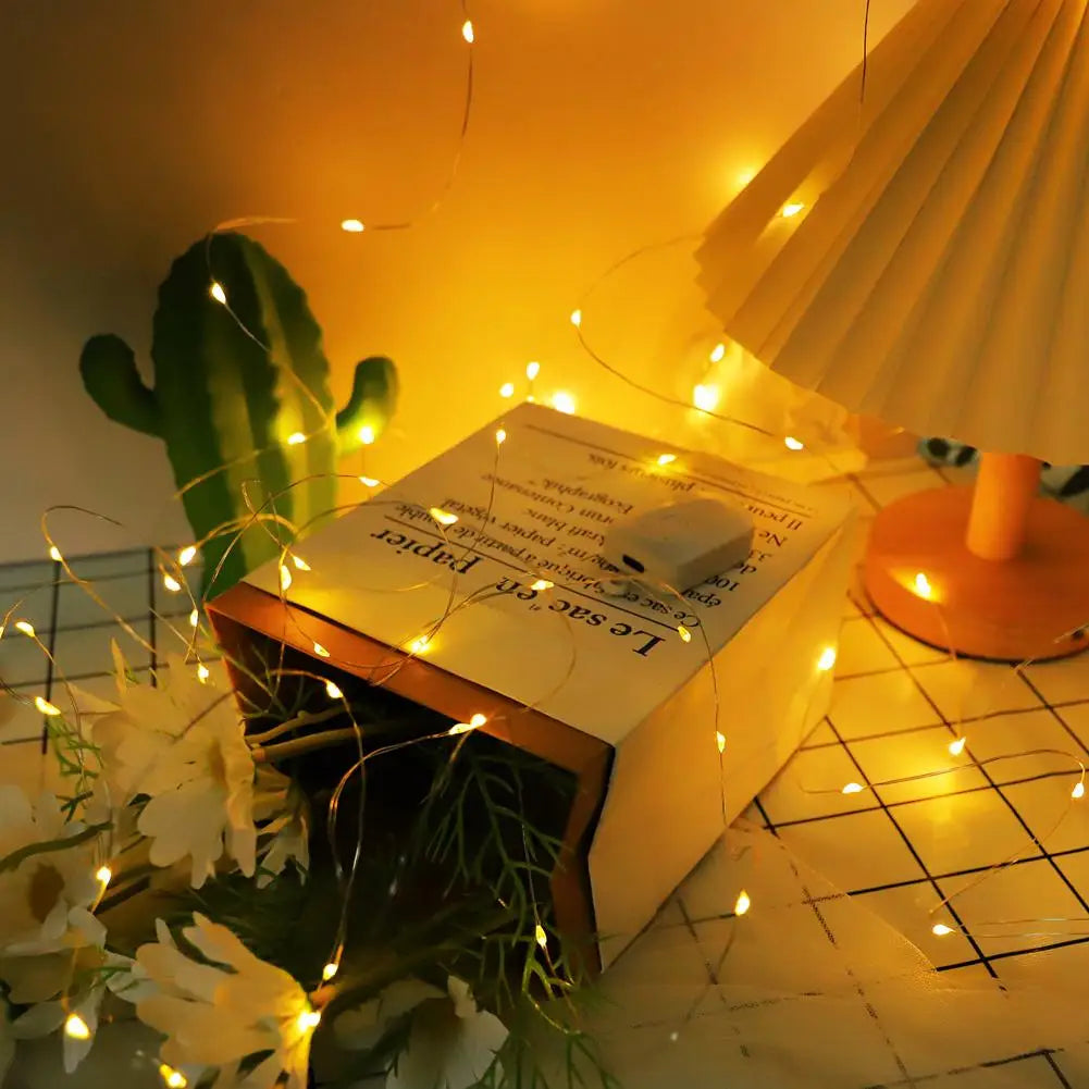 Fairy Lights 3m USB Copper Wire Waterproof Warm White Wedding Christmas