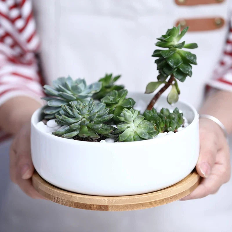 Round White Ceramic Succulent Planter with Bamboo Tray Modern Home Decor