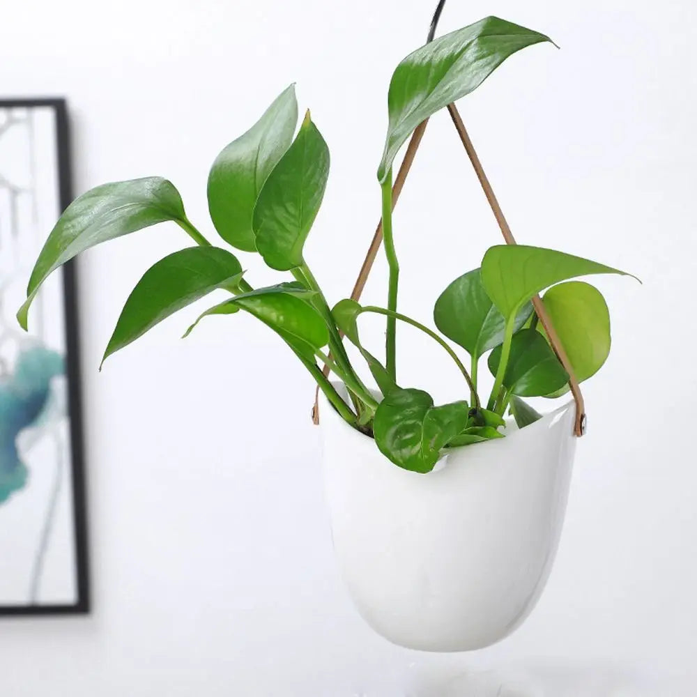 Ceramic Hanging Wall Planter Succulent Plant Pot Boho Home Decor