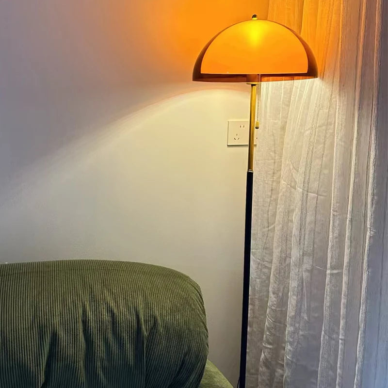 Modern Dark Acrylic Shade Floor Lamp Minimalist Standing Light Bedroom Home Decor