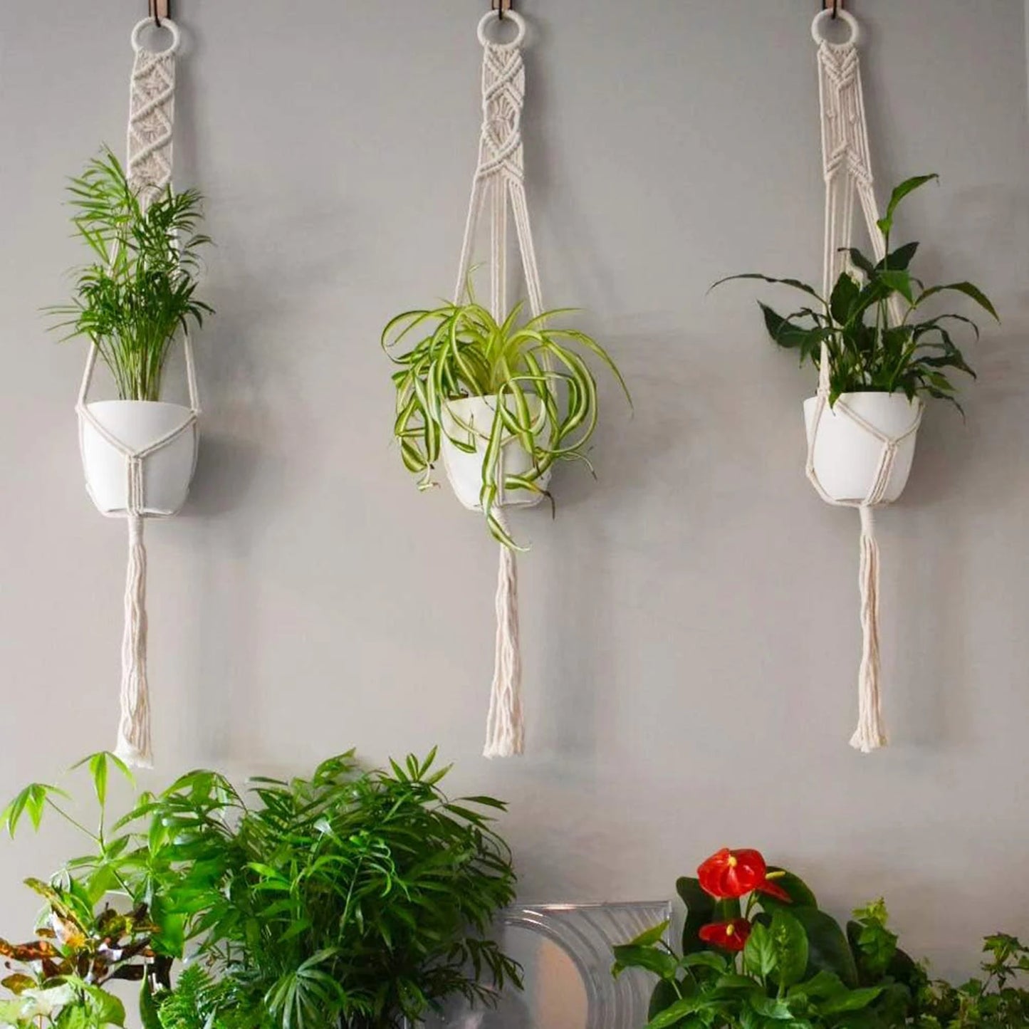 Boho Macrame Plant Hanger Set of 3 Indoor Outdoor Wall Hanging Planter Home Decor