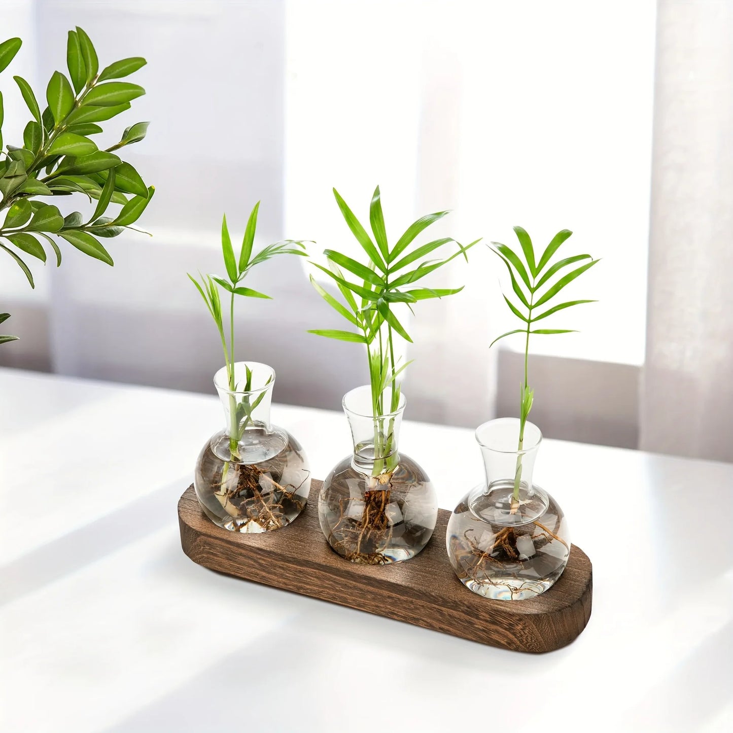 Glass Plant Terrarium Wooden Tray Hydroponic Vase Indoor Propagation Home Decor