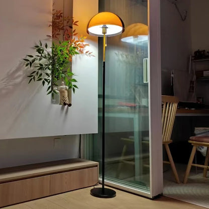 Modern Dark Acrylic Shade Floor Lamp Minimalist Standing Light Bedroom Home Decor