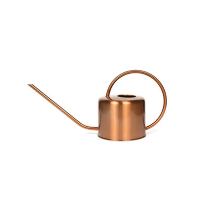 Stainless Steel Watering Can 1.3L Rust Proof Indoor Plants Home Decor