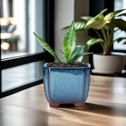 Ceramic Plant Pot and Vase Small Tabletop Shelf Decor Ideas