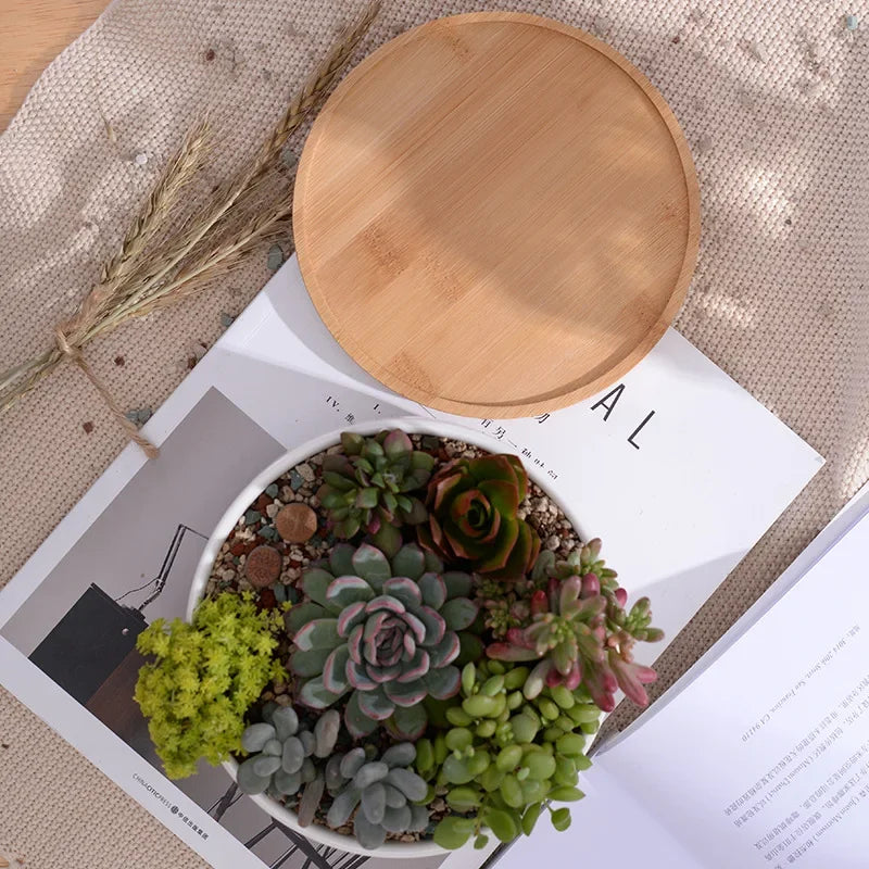 Round White Ceramic Succulent Planter with Bamboo Tray Modern Home Decor