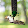 Squirrel Proof Bird Feeder Metal Tube Hanging Outdoor Garden Backyard