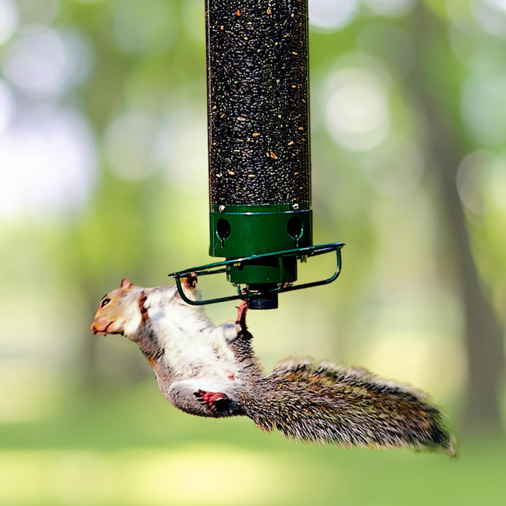 Squirrel Proof Bird Feeder Metal Tube Hanging Outdoor Garden Backyard