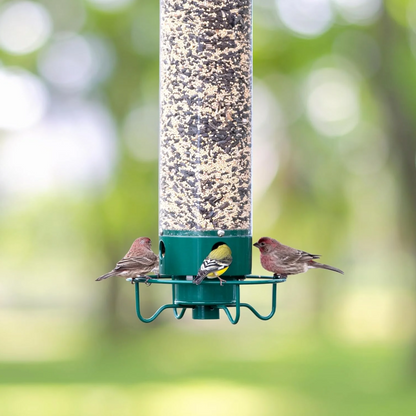 Squirrel Proof Bird Feeder Metal Tube Hanging Outdoor Garden Backyard