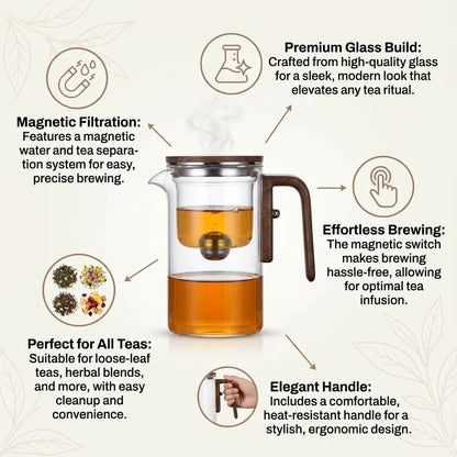 Magnetic Filtration Teapot Glass Modern Loose Leaf Tea Brewing