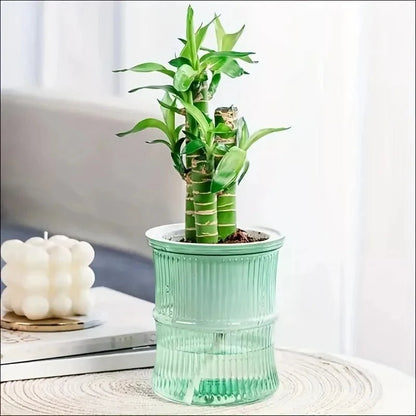 Self Watering Planter Double Layer Indoor Plant Pot Transparent Reservoir Herb Pot