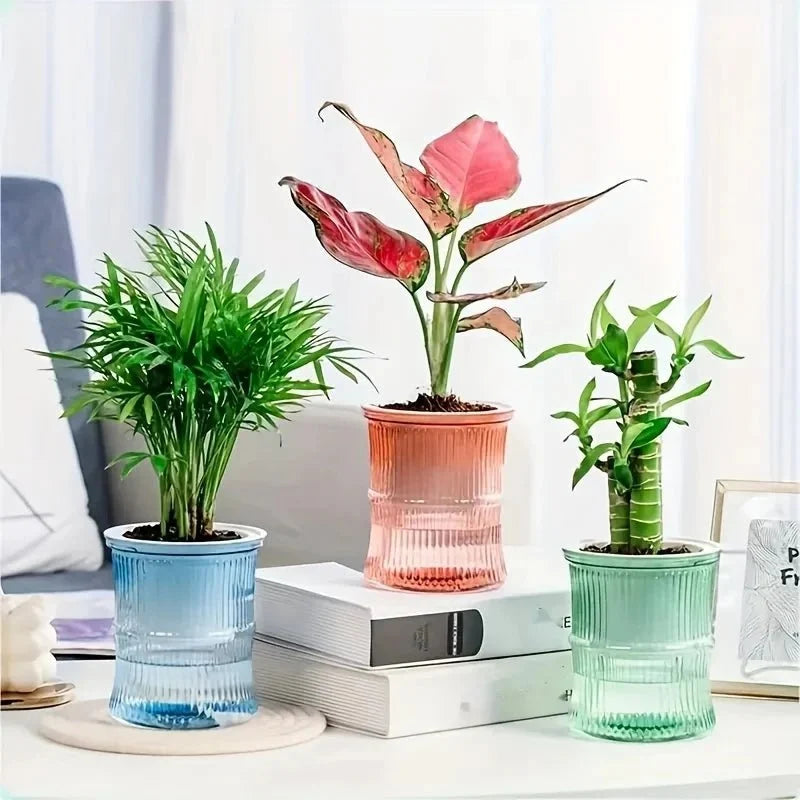 Self Watering Planter Double Layer Indoor Plant Pot Transparent Reservoir Herb Pot